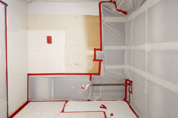 Best Asbestos and Lead Testing During Mold Inspection  in Bethlehem Village, CT