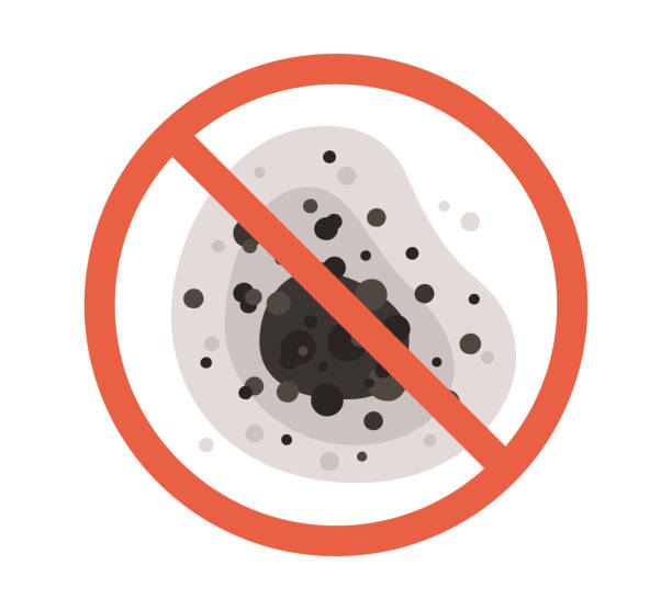 Best Commercial Mold Inspection  in Bethlehem Village, CT