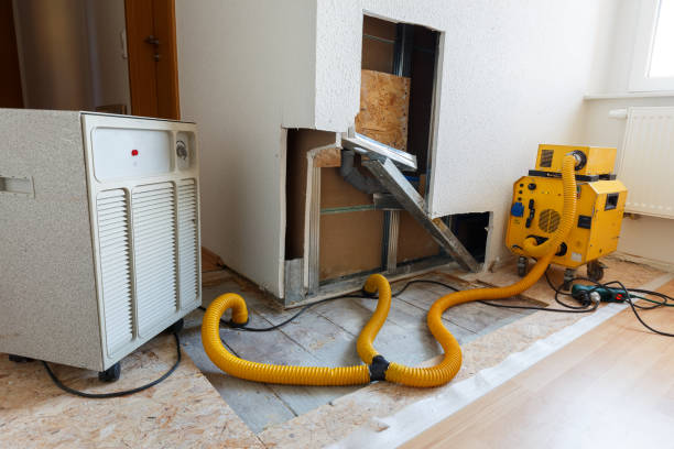 Best Environmental Consulting for Mold Prevention  in Bethlehem Village, CT