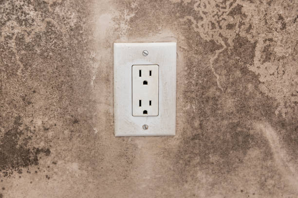 Best Mold Prevention Services  in Bethlehem Village, CT